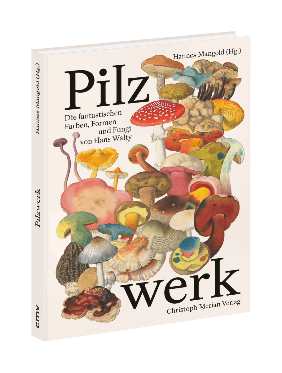 Pilzwerk