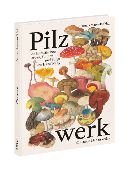 Pilzwerk